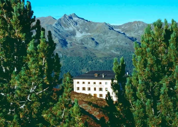 Hotel Weisshorn Sur St-luc 2337m 2*